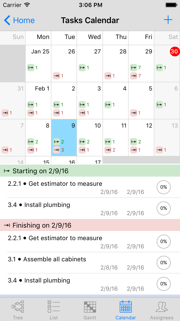 Calendar View on iPhone