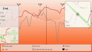 Interactive Ride Chart