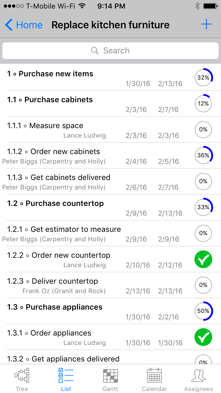 List View on iPhone